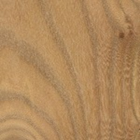 DZD-Hardwood: red elm