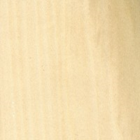 DZD-Hardwood: yellow poplar